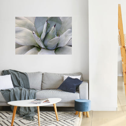 AGAVE ELEGANCE Horisontell Poster med självhäftande motiv
