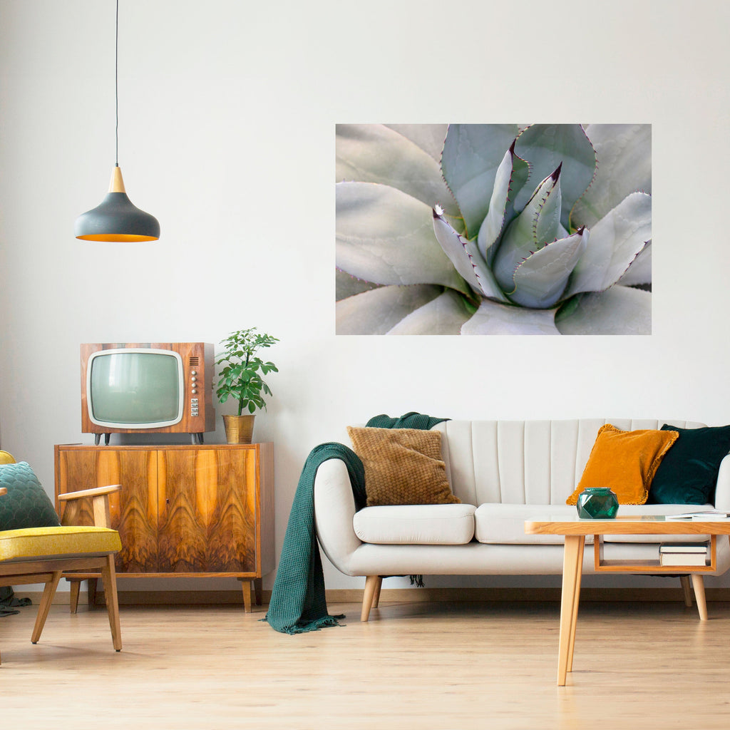 AGAVE ELEGANCE Horisontell Poster med självhäftande motiv