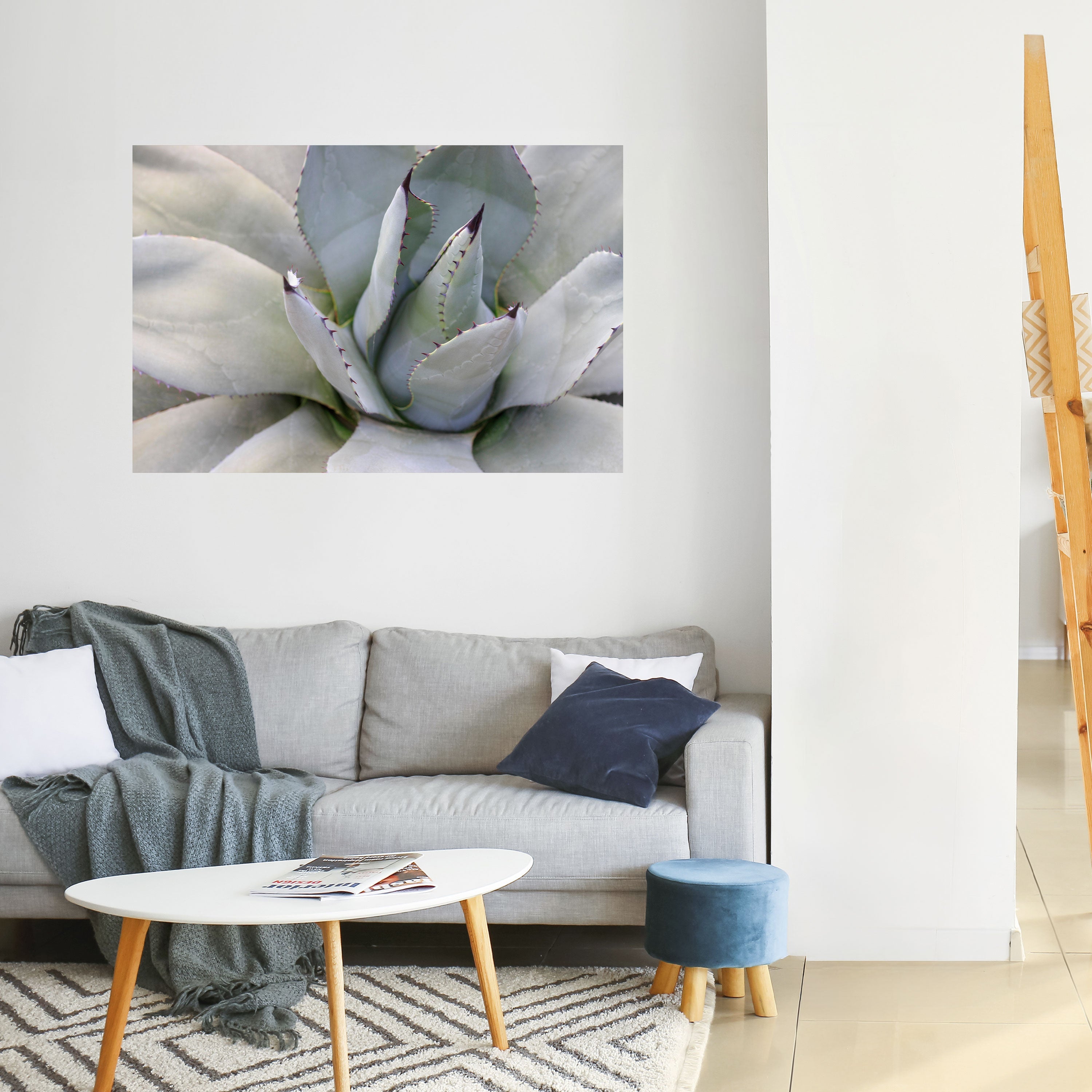 AGAVE ELEGANCE Horisontell Poster med självhäftande motiv