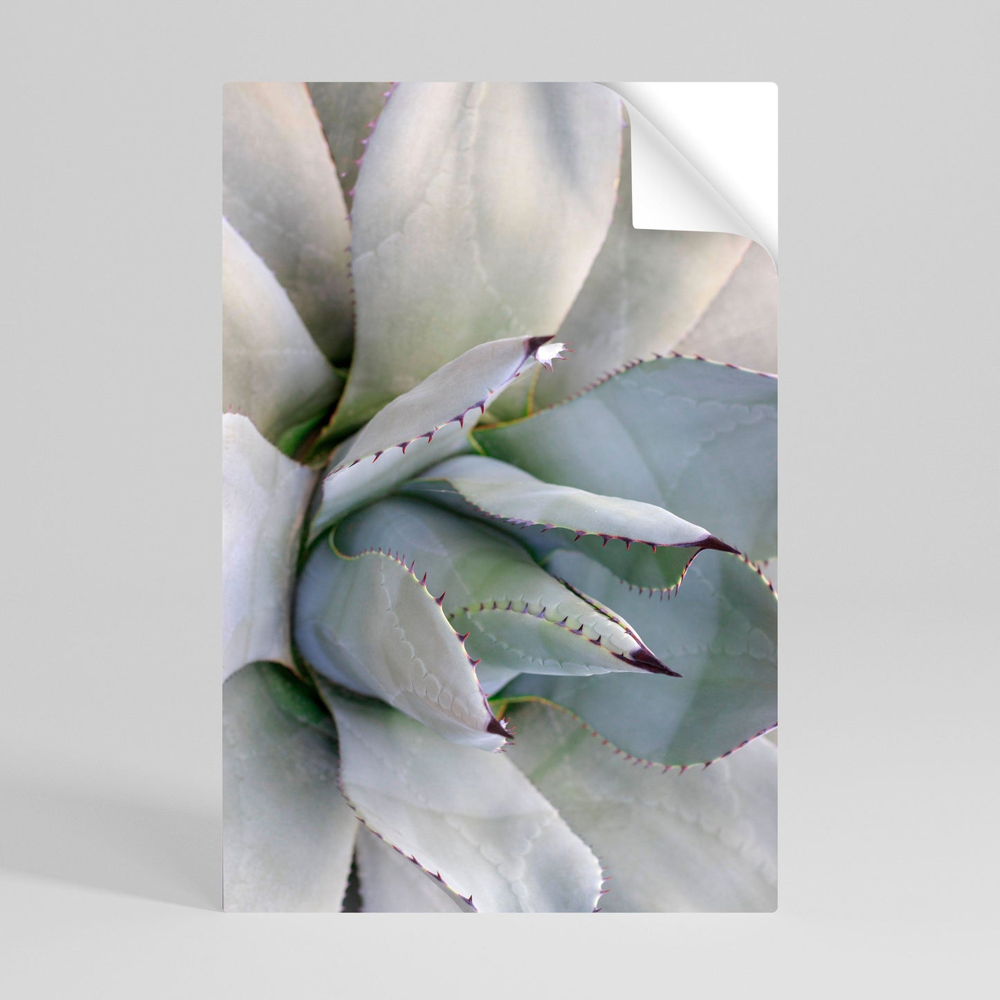 AGAVE ELEGANCE Vertikal poster med självhäftande motiv