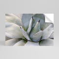 AGAVE ELEGANCE Peel and Stick Horizontal Poster