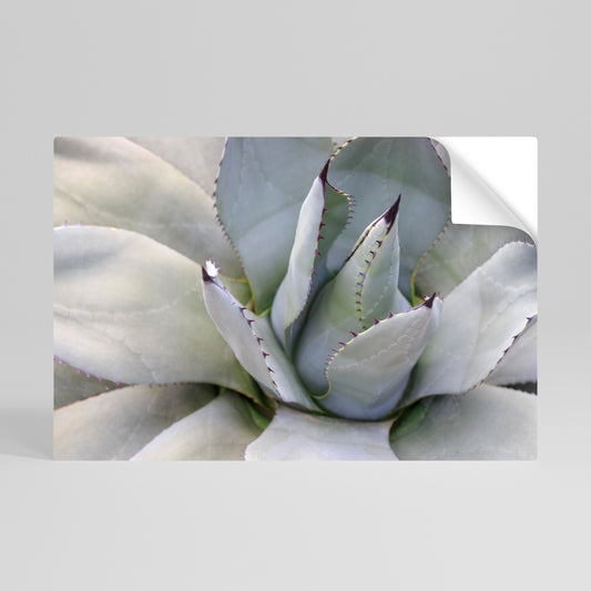 AGAVE ELEGANCE Självhäftande Horisontell Poster