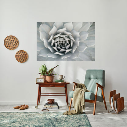 ELEGANT BLOMSTFRÄMNE, VÄLVKLISTA, HORIZONAL AFFÄR