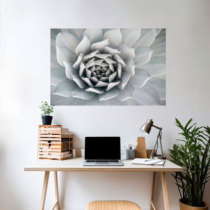 ELEGANT BLOMSTFRÄMNE, VÄLVKLISTA, HORIZONAL AFFÄR