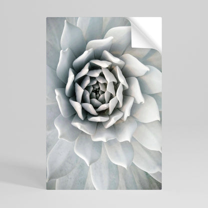 ELEGANT BLOMSTFRÄMNE, VÄLVKLISTA, vertikal poster