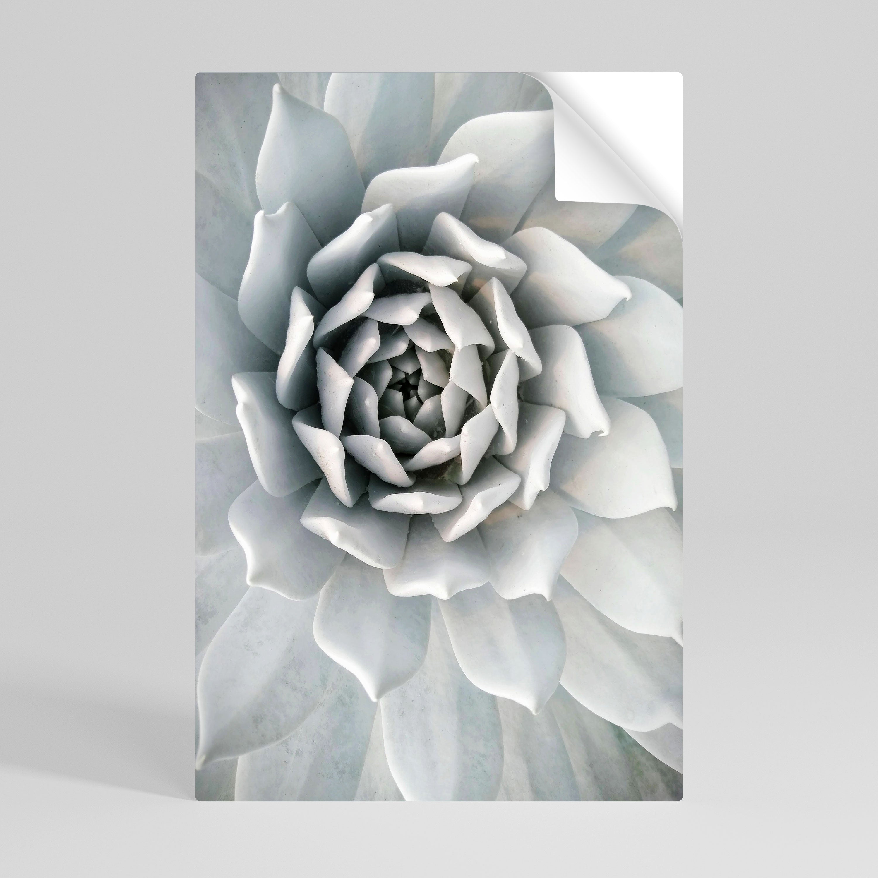 ELEGANT PETAL SWIRL Peel and Stick Vertical Poster