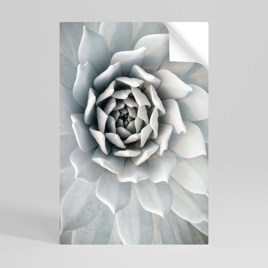 ELEGANT PETAL SWIRL Självhäftande Vertikal Poster