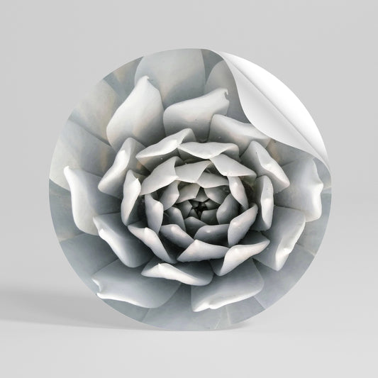 ELEGANT PETAL SWIRL Rund väggdekal