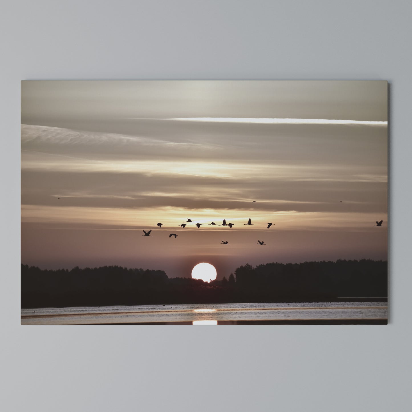 SUNSET FLIGHT SYMPHONY Horizontal Canvas Print