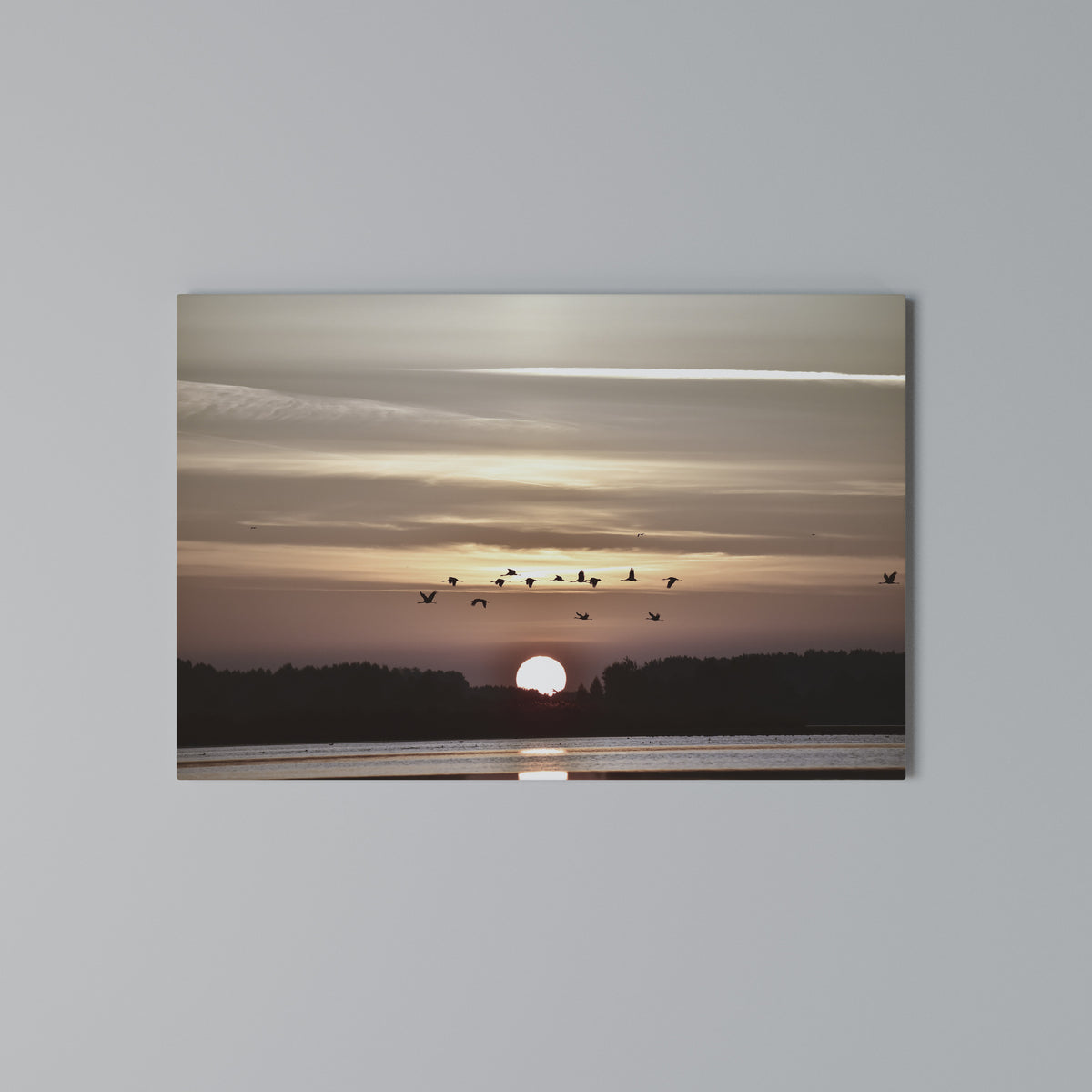 SUNSET FLIGHT SYMPHONY Horizontal Canvas Print