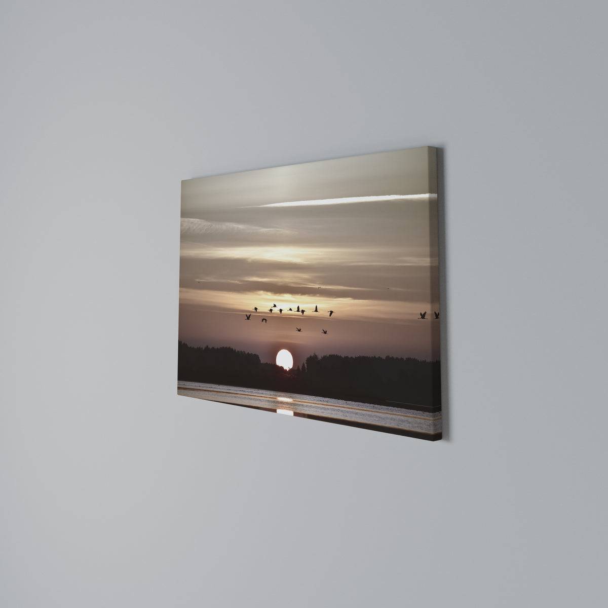 SUNSET FLIGHT SYMPHONY Horizontal Canvas Print
