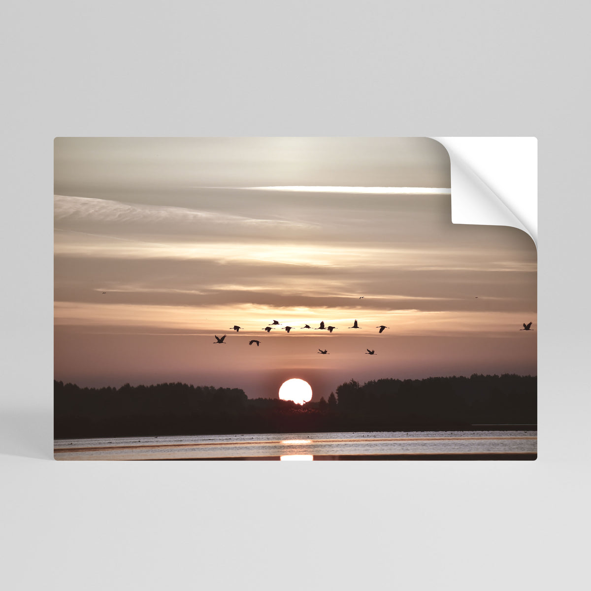 SUNSET FLIGHT SYMPHONY Självhäftande Horisontell Poster