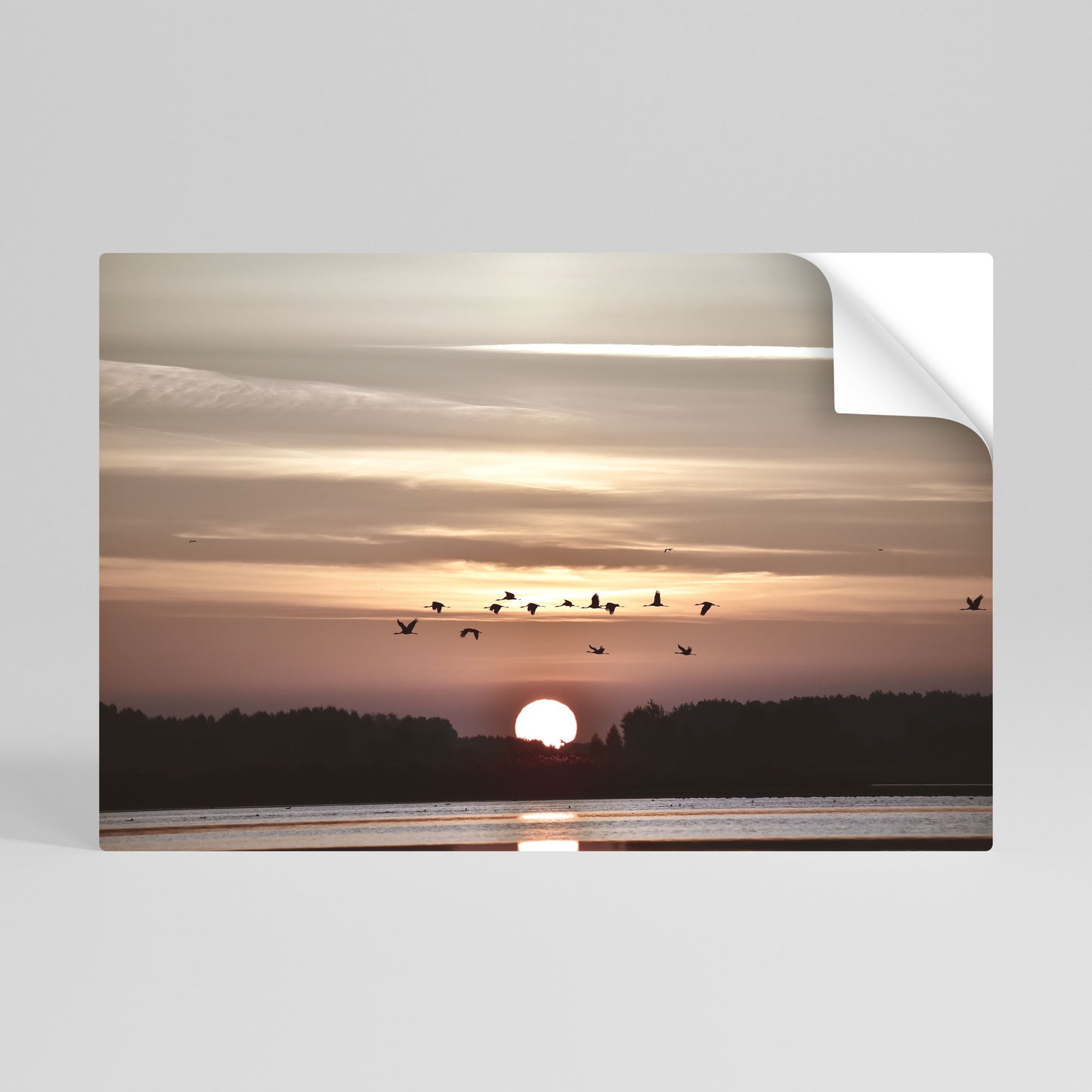 SUNSET FLIGHT SYMPHONY Självhäftande Horisontell Poster