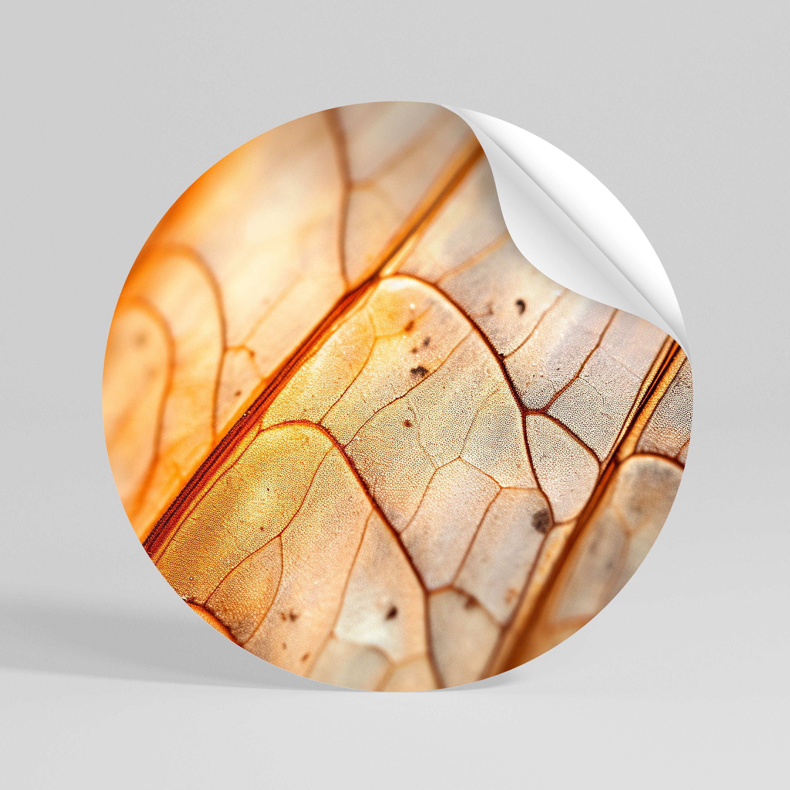 ELEGANT VEINING Peel and Stick Round Sticker