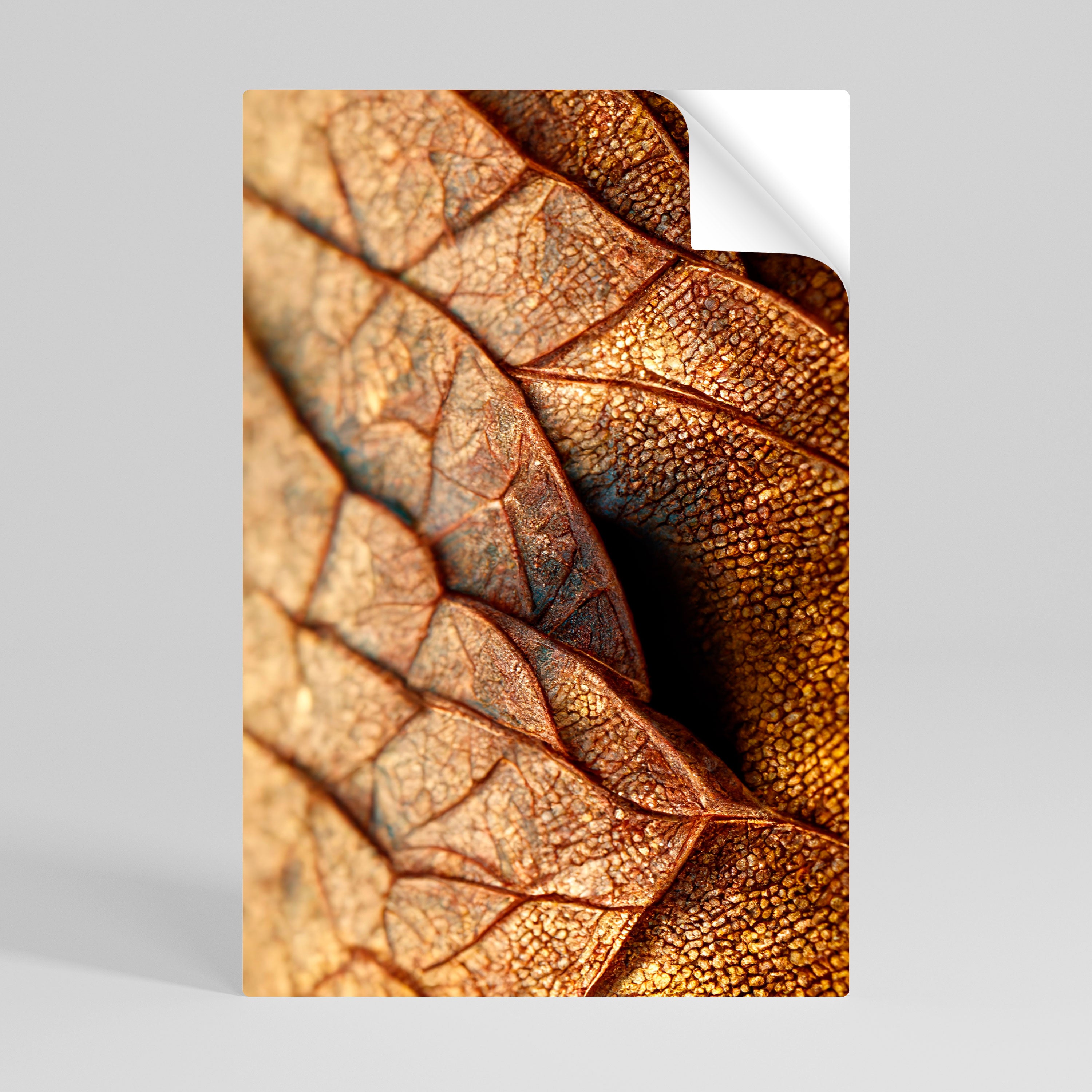 RUSTIC TEXTURE STUDY Självhäftande Vertikal Poster