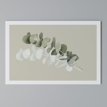 TRANSLUCENT NATURE Horizontal Canvas Print
