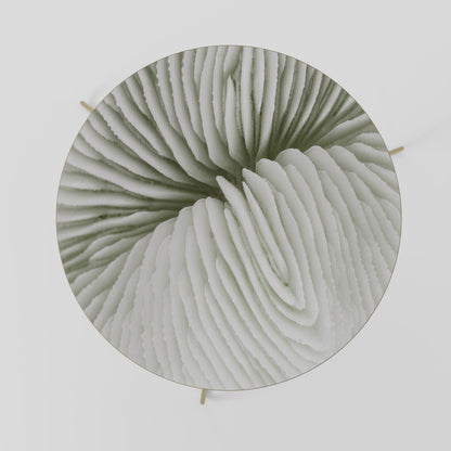 NATURE'S SYMMETRY Coffee Table 69