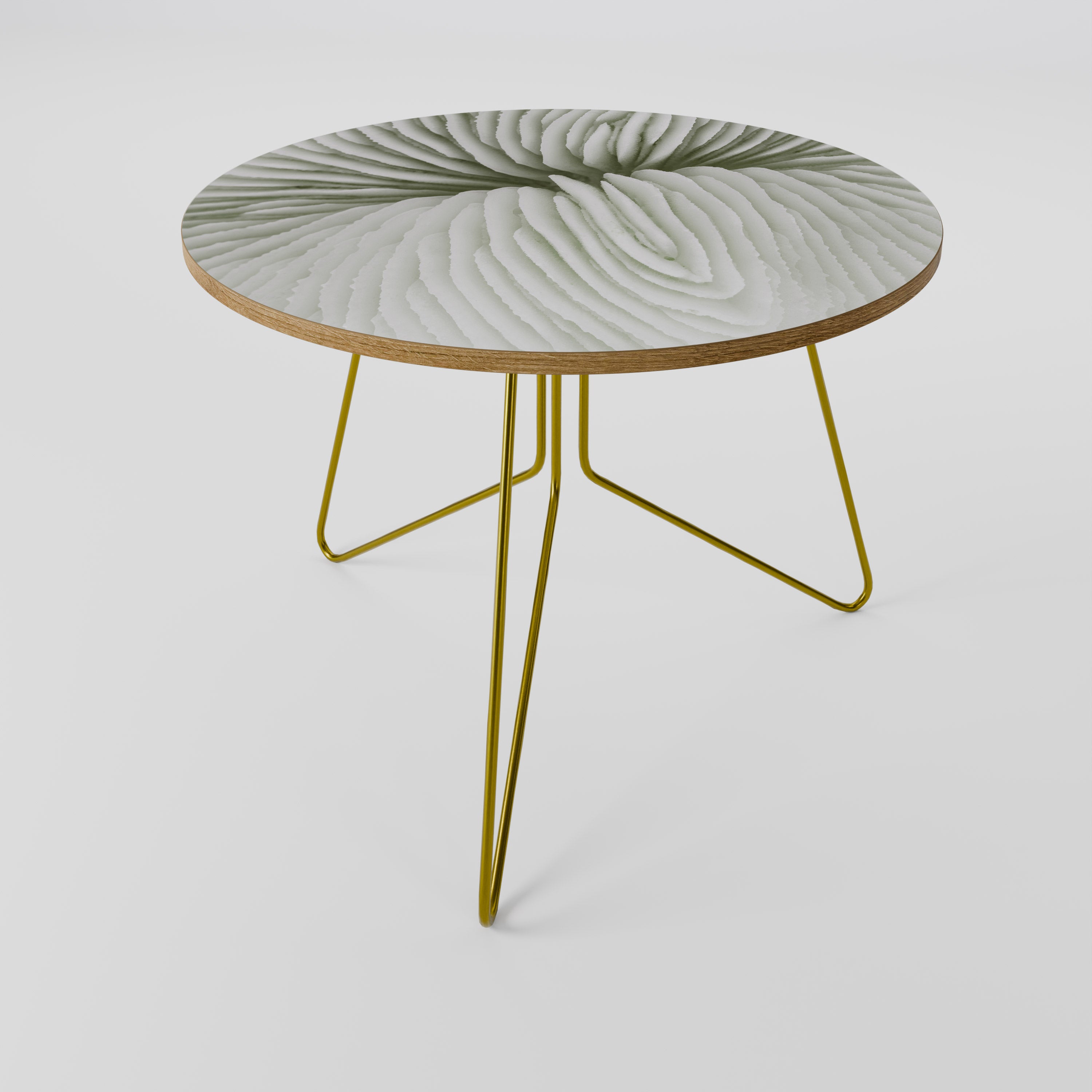 NATURE'S SYMMETRY Coffee Table