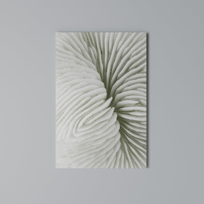 NATURE'S SYMMETRY Vertical Canvas Print