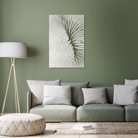 NATURE'S SYMMETRY Vertical Canvas Print