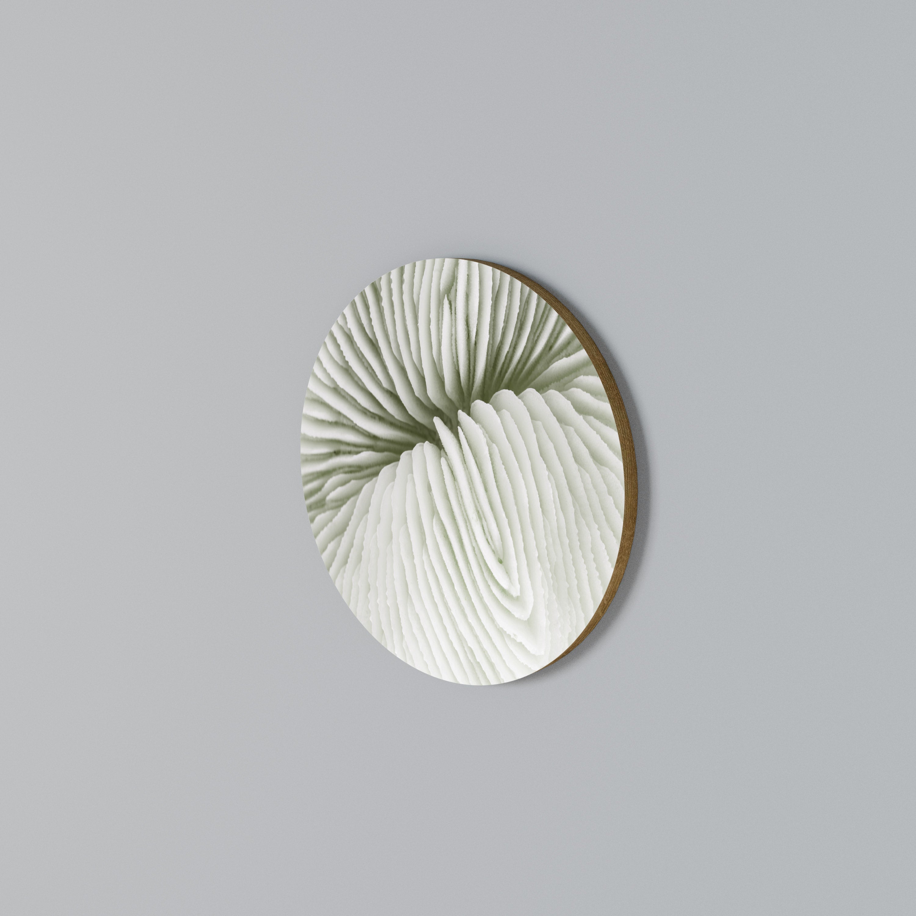 NATURE'S SYMMETRY Round Wall Art