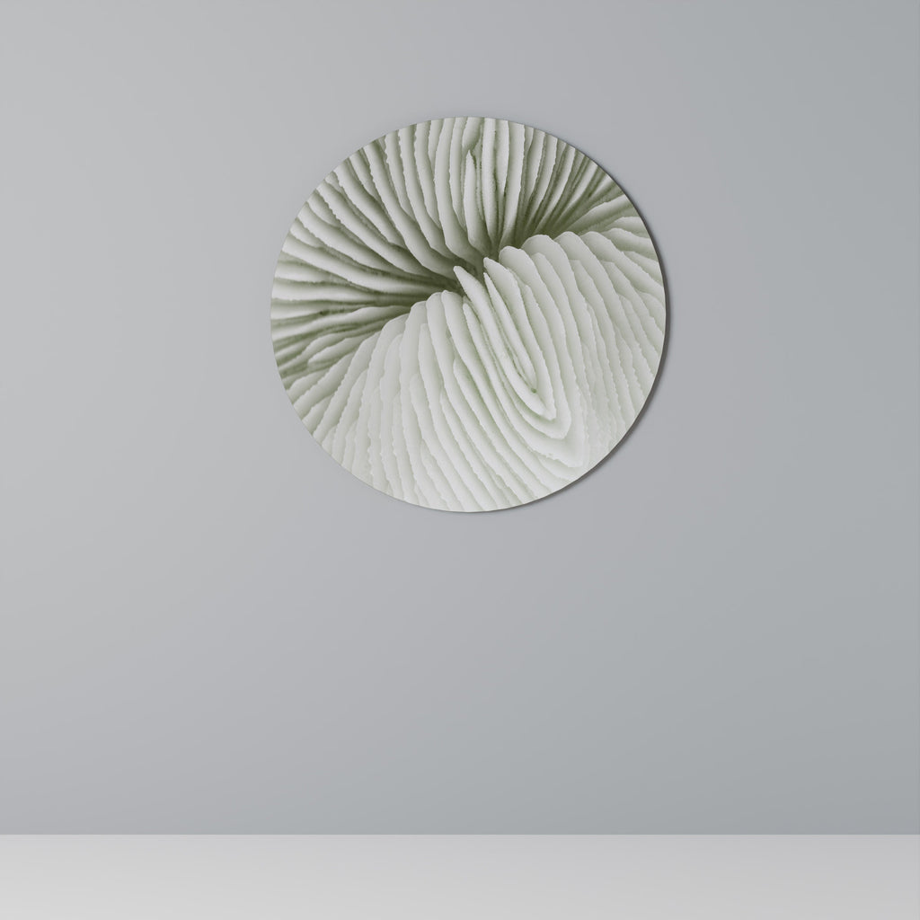 NATURENS SYMMETRI Rund väggkonst