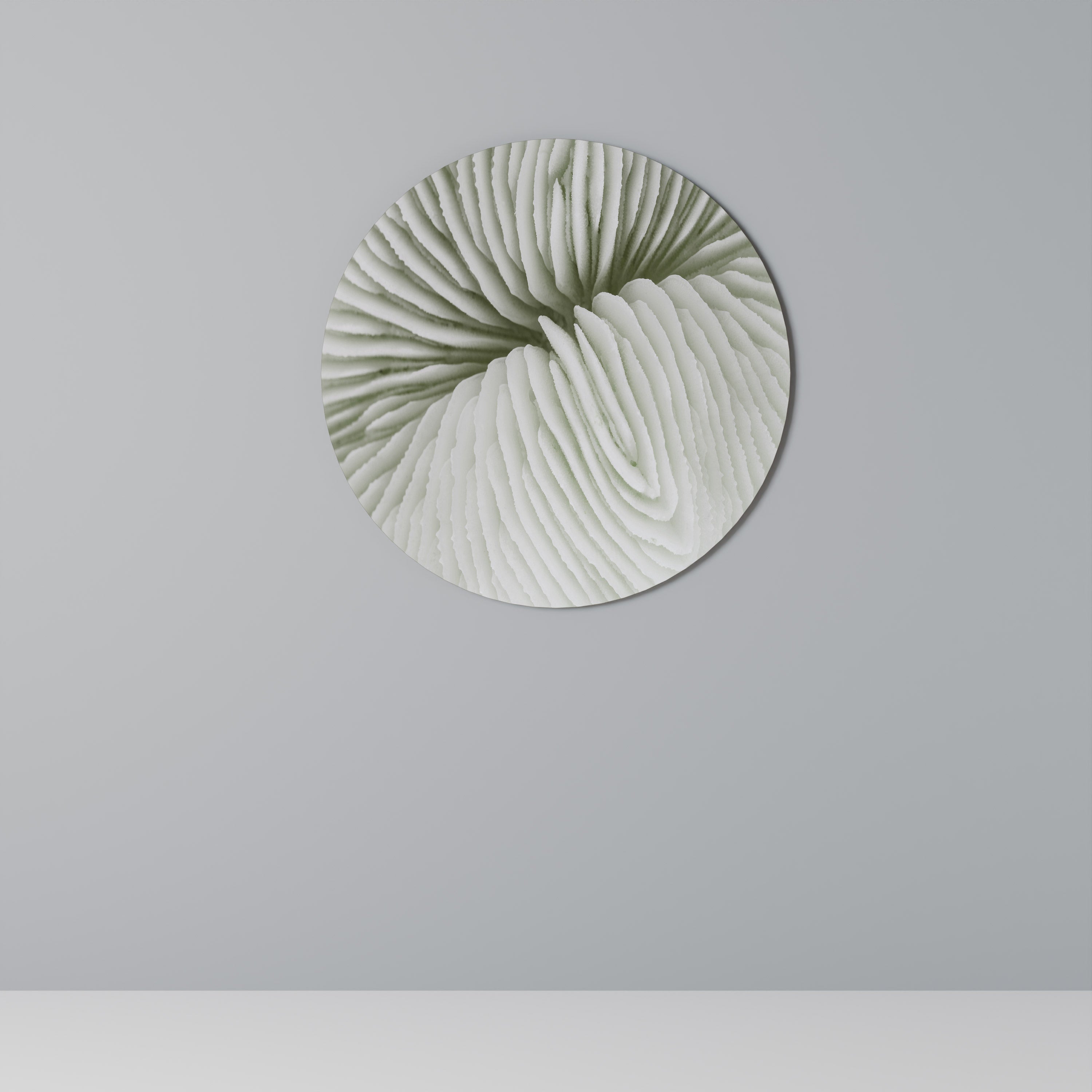 NATURENS SYMMETRI Rund väggkonst