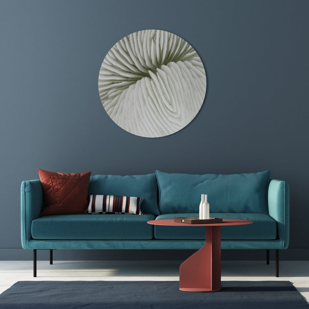 NATURENS SYMMETRI Rund väggkonst