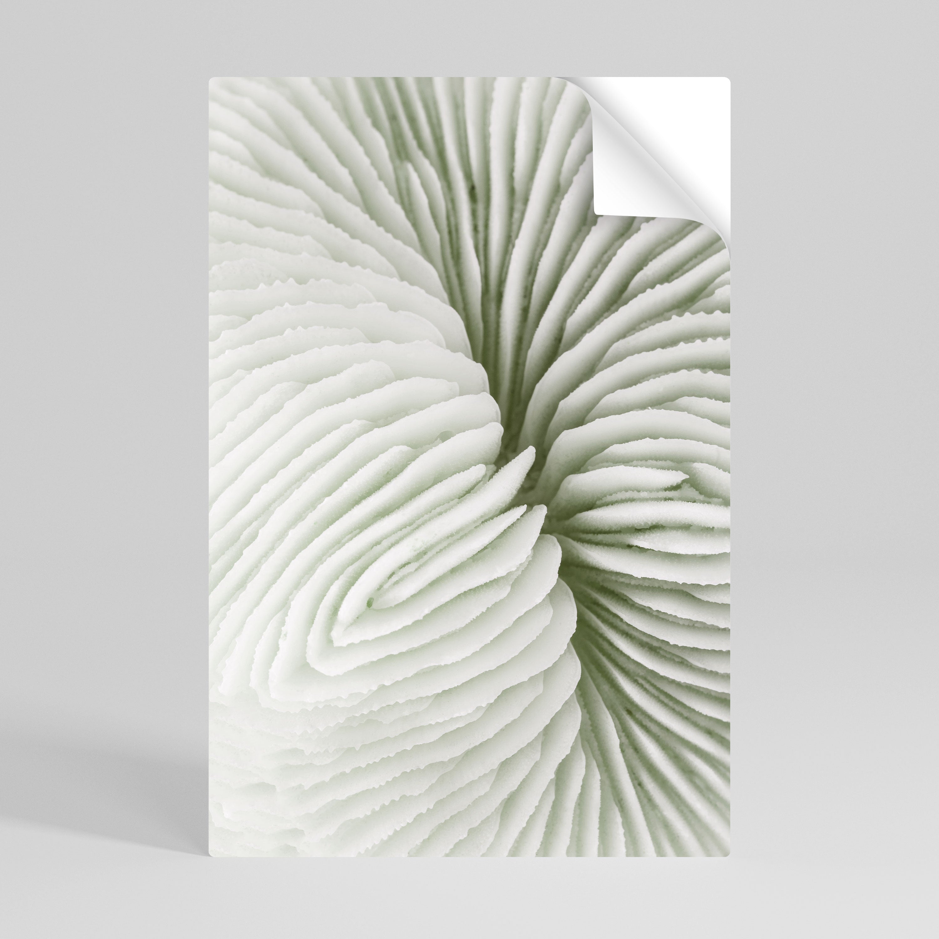 NATURE'S SYMMETRY Självhäftande Vertikal Poster