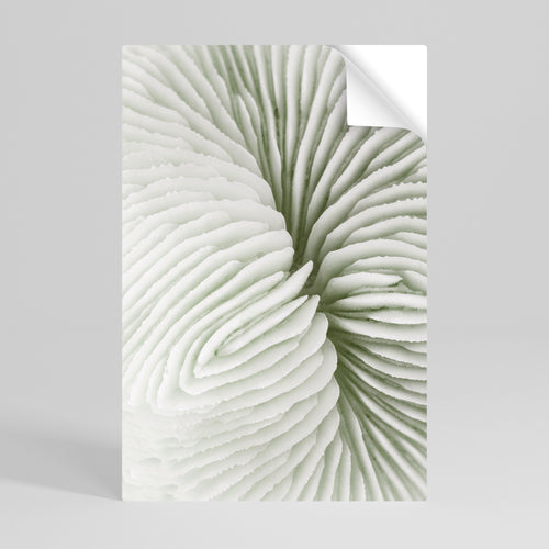 NATURE'S SYMMETRY Självhäftande Vertikal Poster