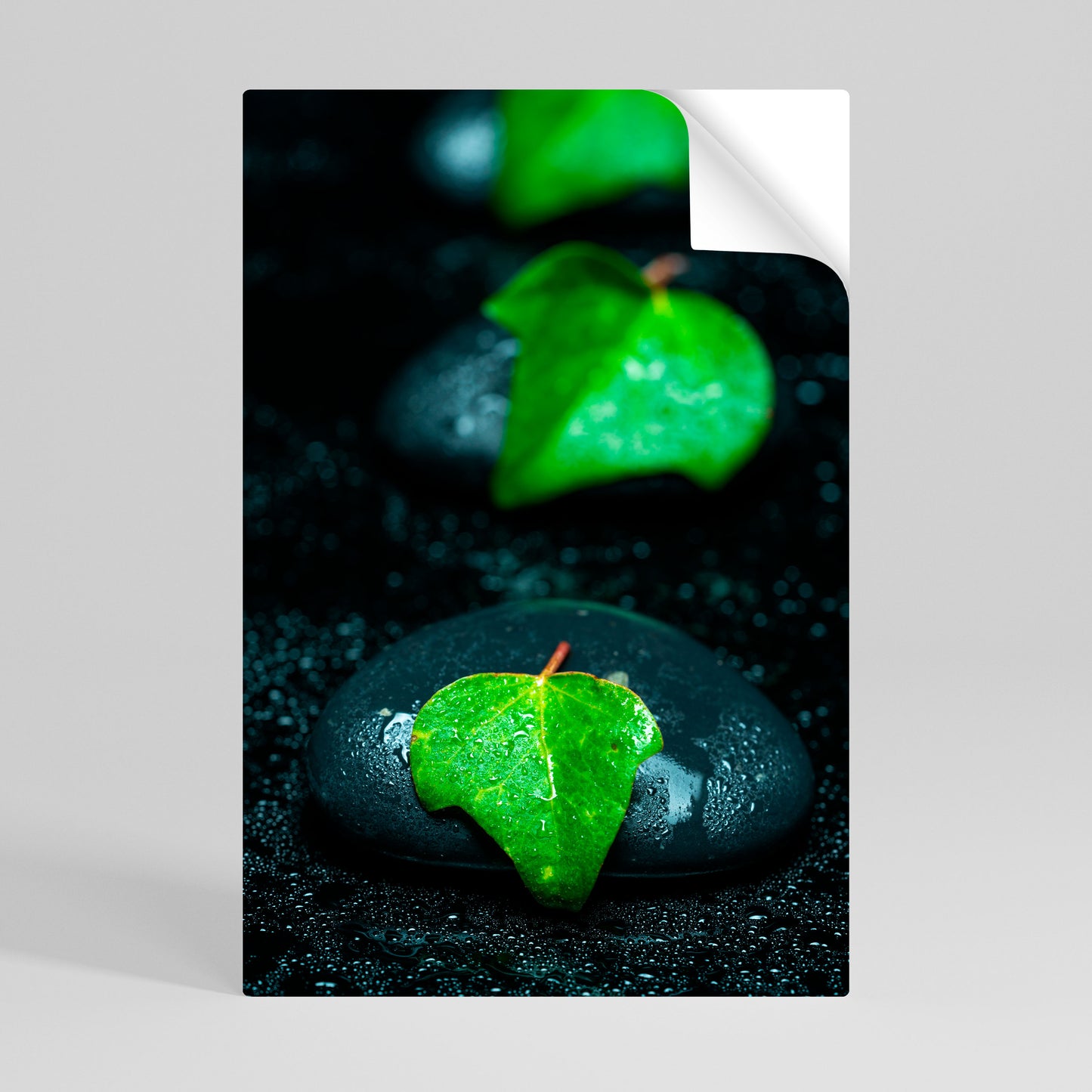 RAINDROPS ON STONE Självhäftande Vertikal Poster