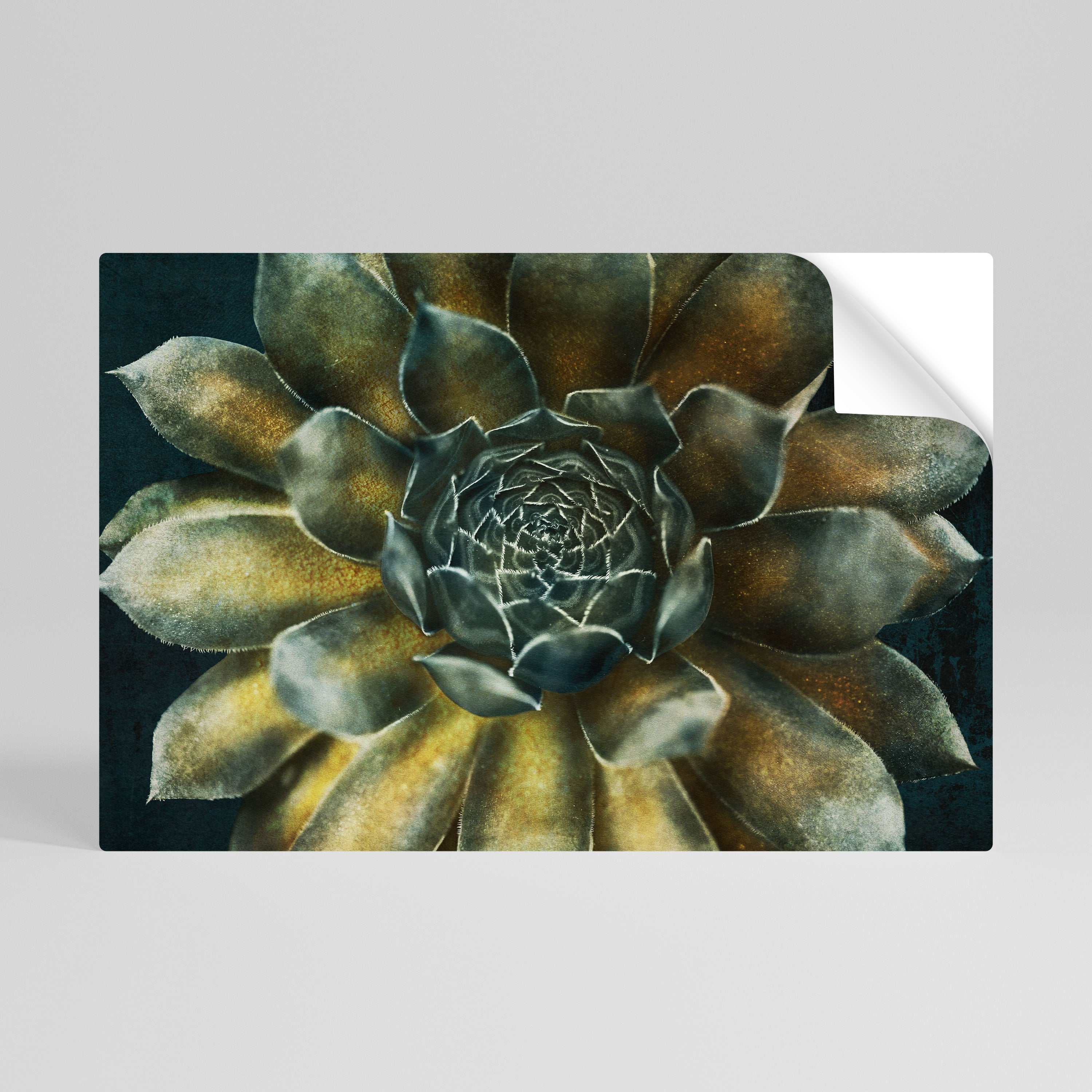MYSTICAL SUCCULENT WHIRL Peel and Stick Horizontal Poster