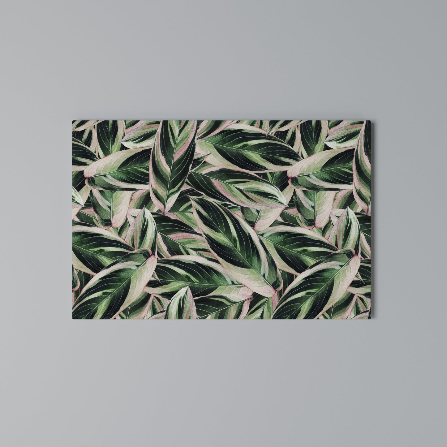 EERIE STROMANTHE Horizontal Canvas Print