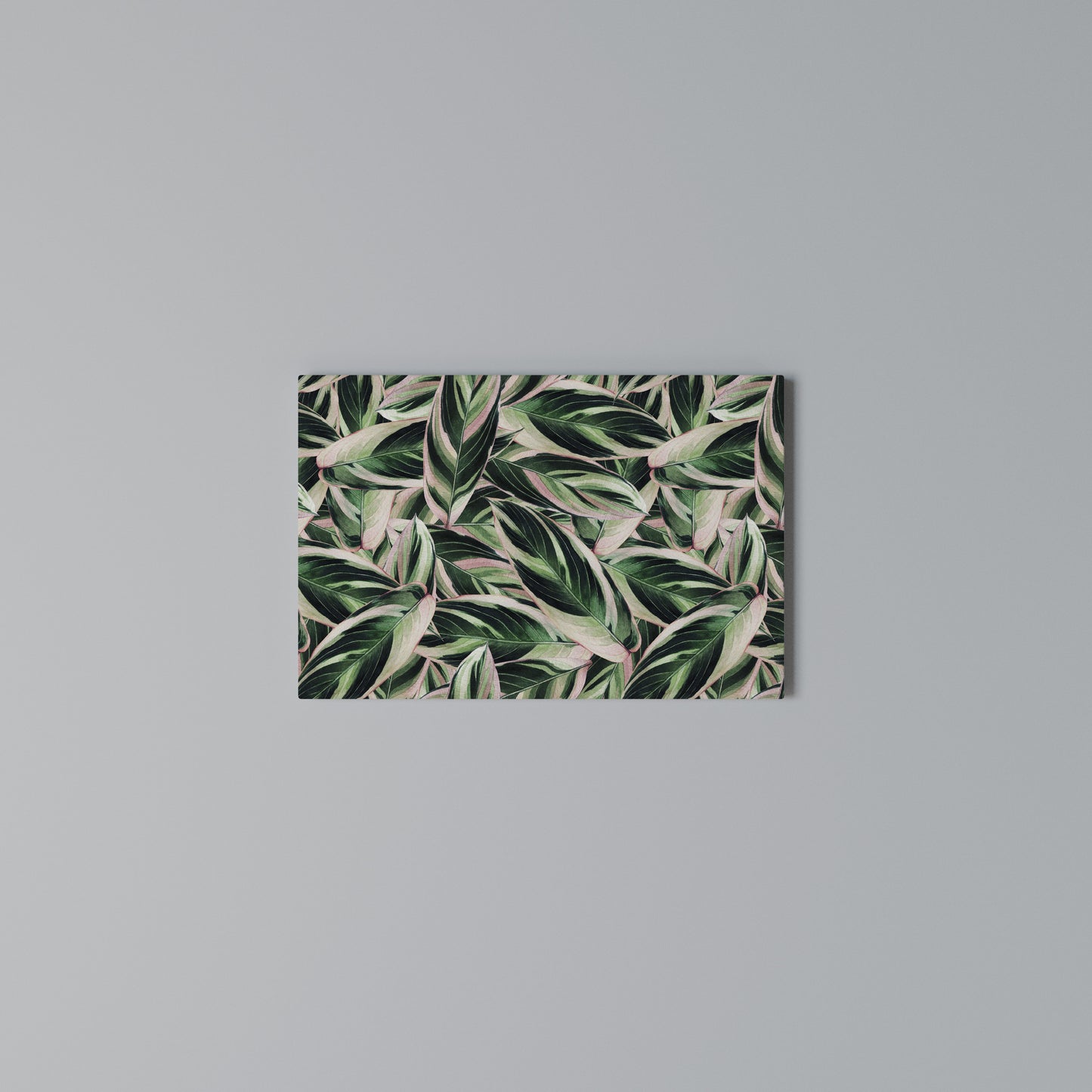 EERIE STROMANTHE Horizontal Canvas Print