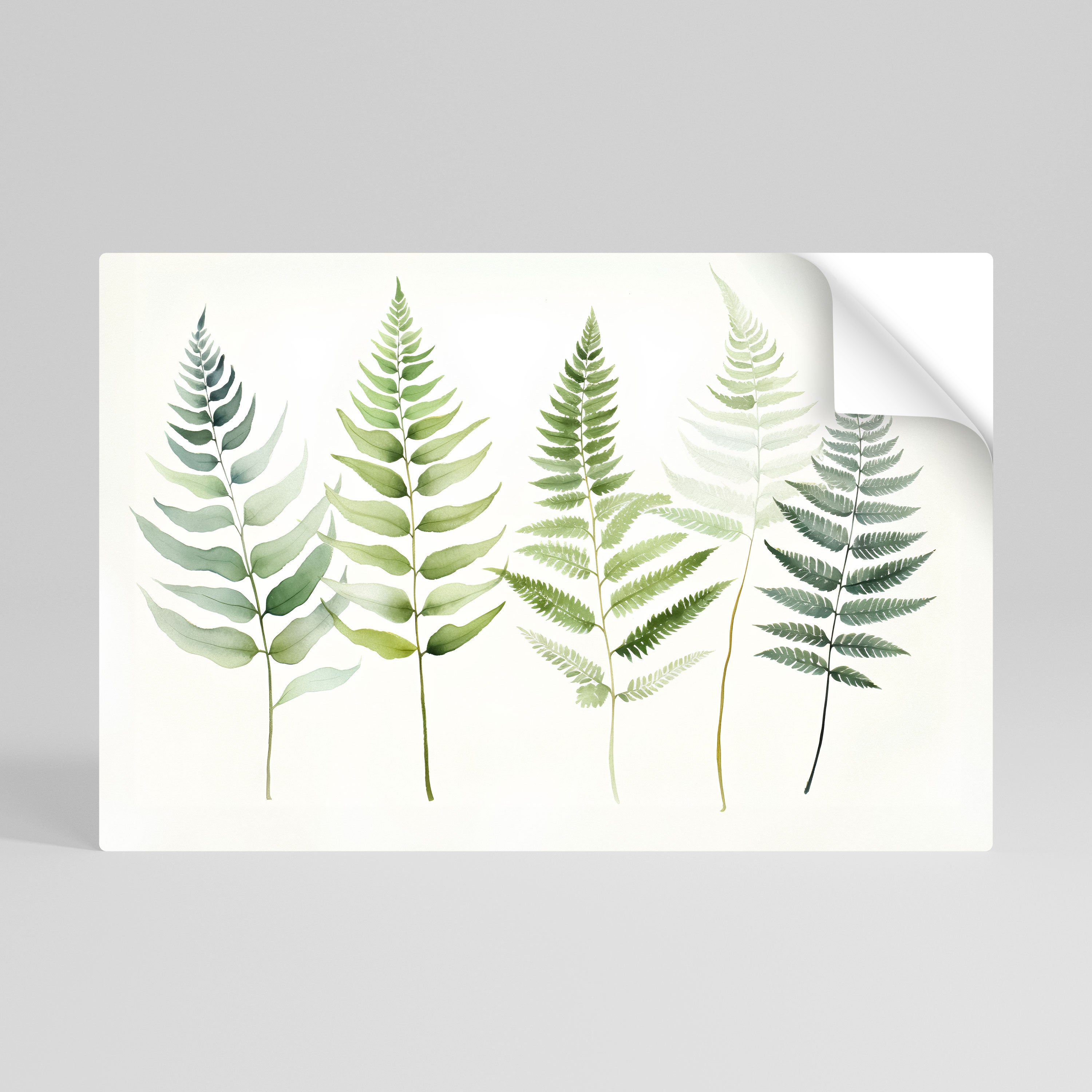 FERN MAJESTY Peel and Stick Horizontal Poster