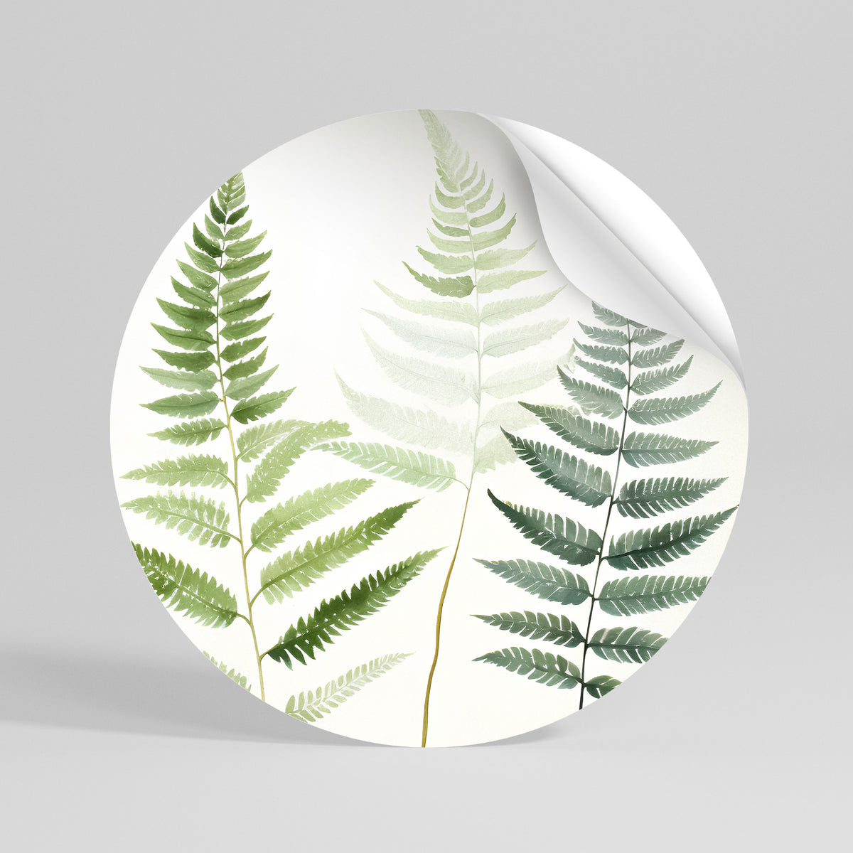 FERN MAJESTY Rund väggdekal