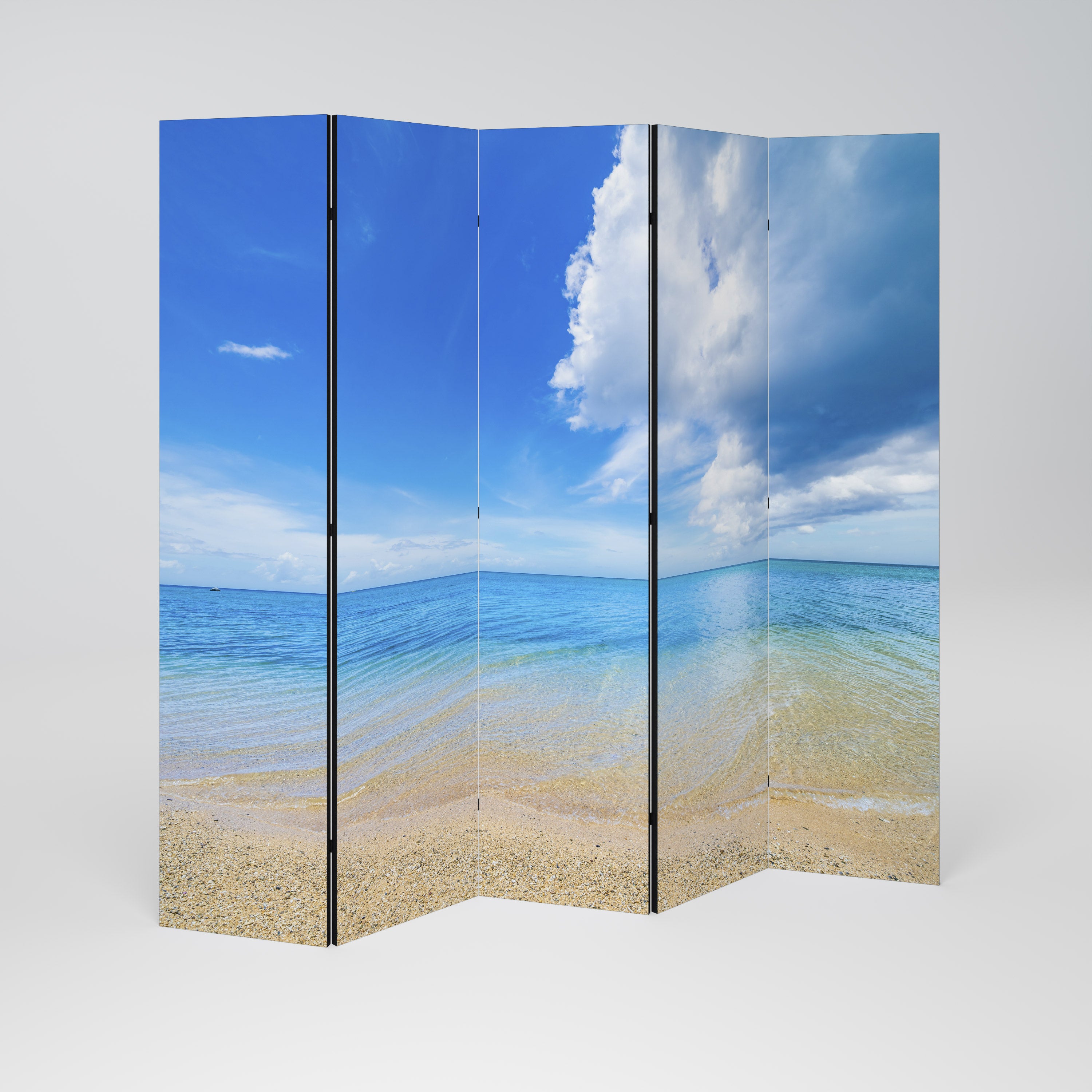 TIDES OF TIME 5-Panel Room Divider