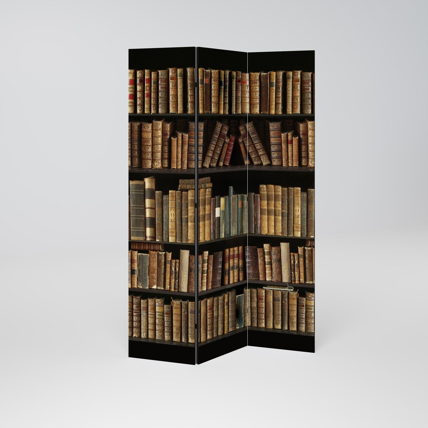 SHELVES OF TIME Dekorativ rumsavdelare med 3 paneler