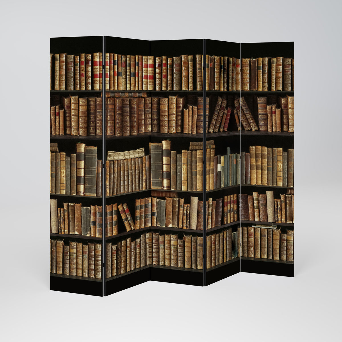 SHELVES OF TIME 5-Panel Room Divider