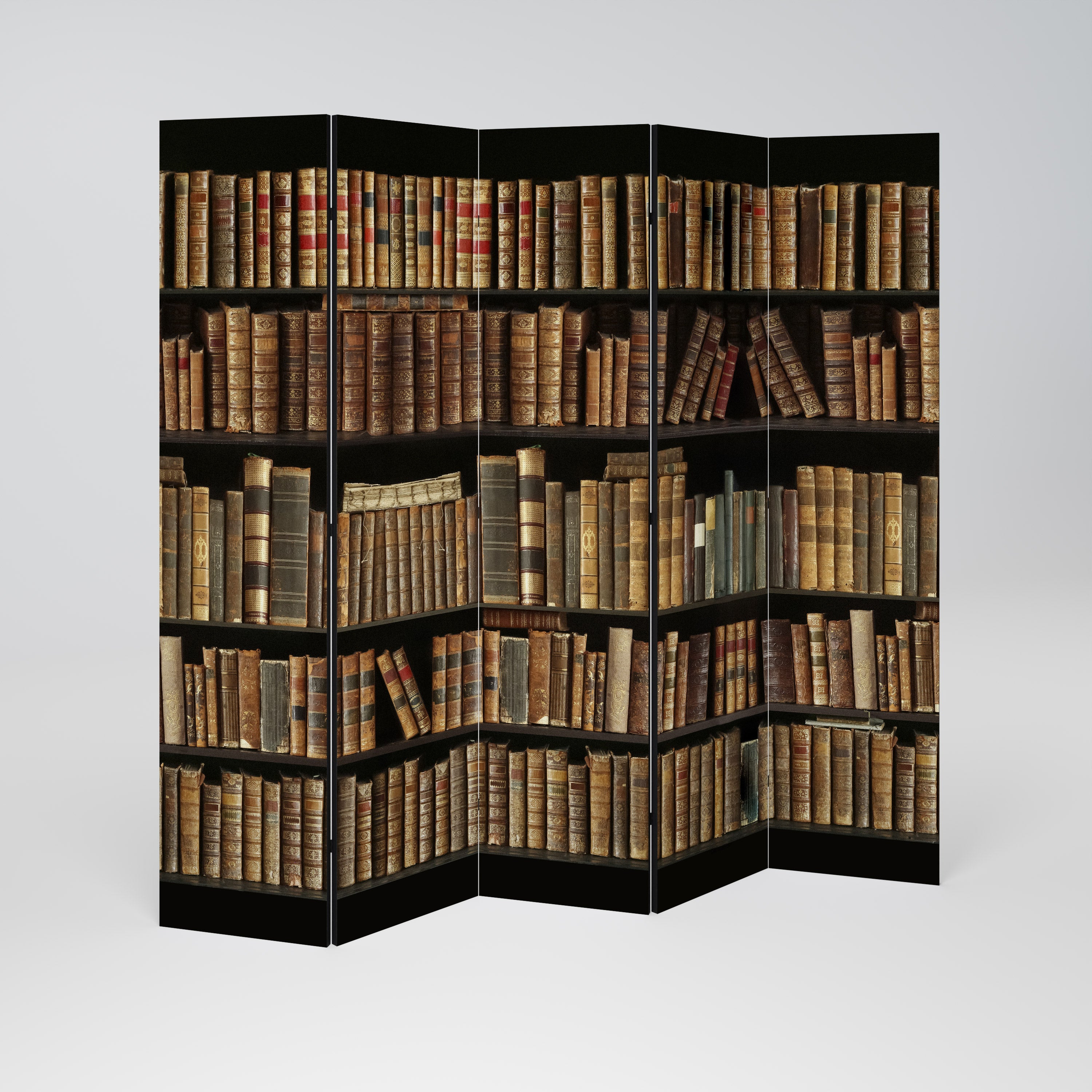 SHELVES OF TIME Dekorativ rumsavdelare med 5 paneler