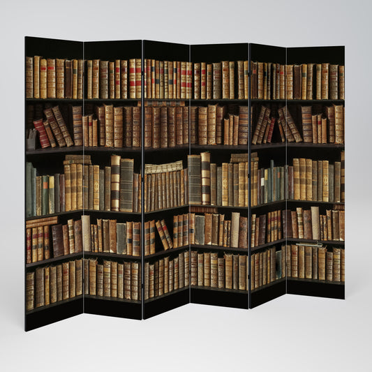 SHELVES OF TIME Rumsavdelare 6 paneler