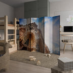 MYSTICAL ANGLES REVEALED Rumsavdelare 6 paneler