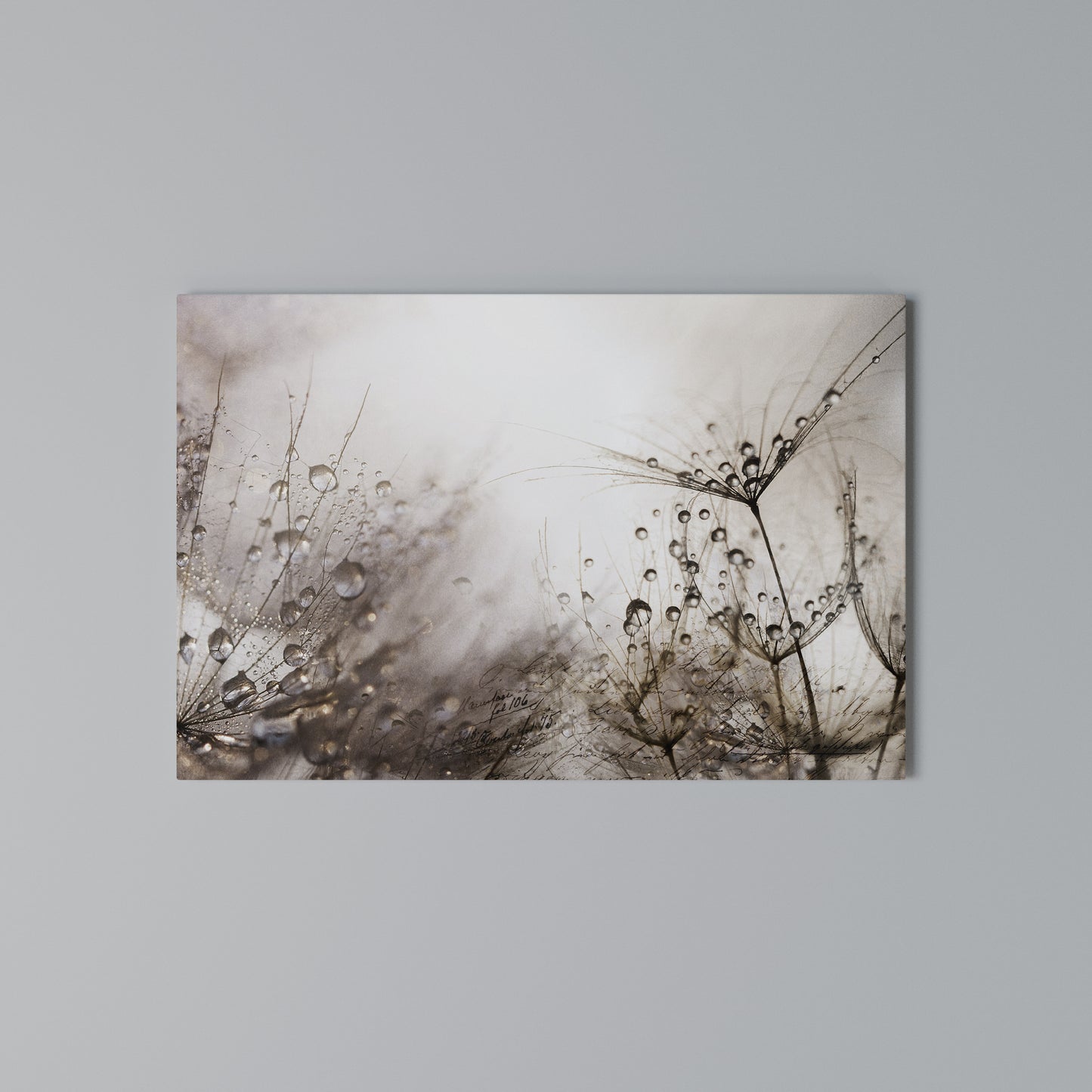 FLEETING DAWN Horizontal Canvas Print