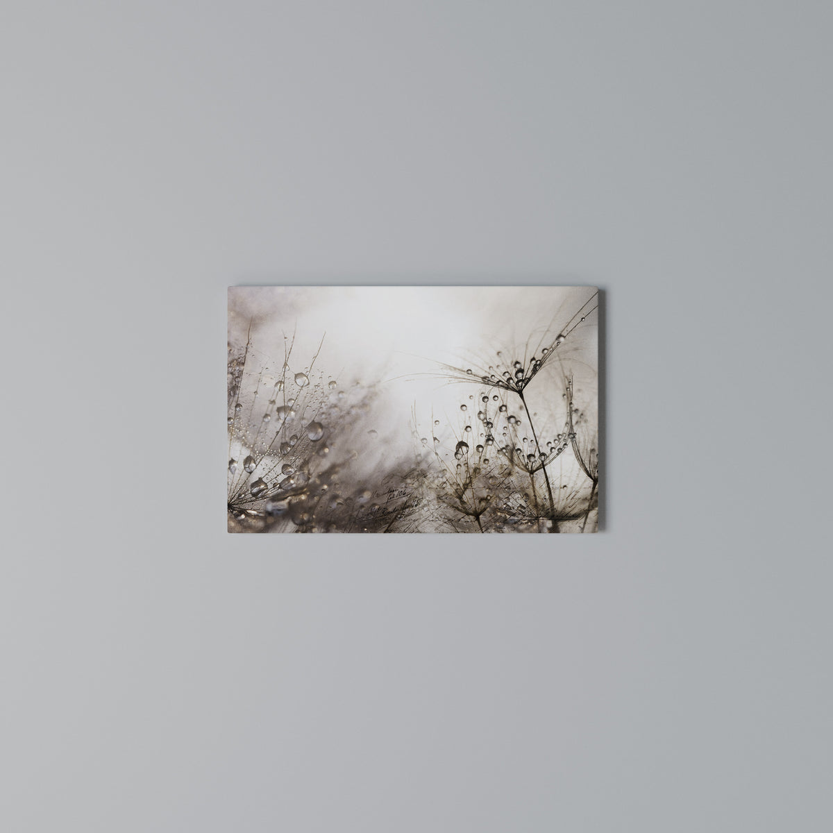 FLEETING DAWN Horizontal Canvas Print
