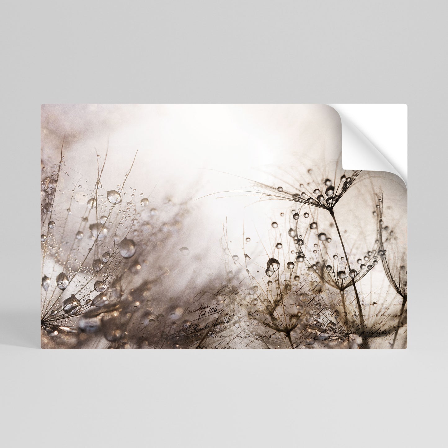FLEETING DAWN Självhäftande Horisontell Poster