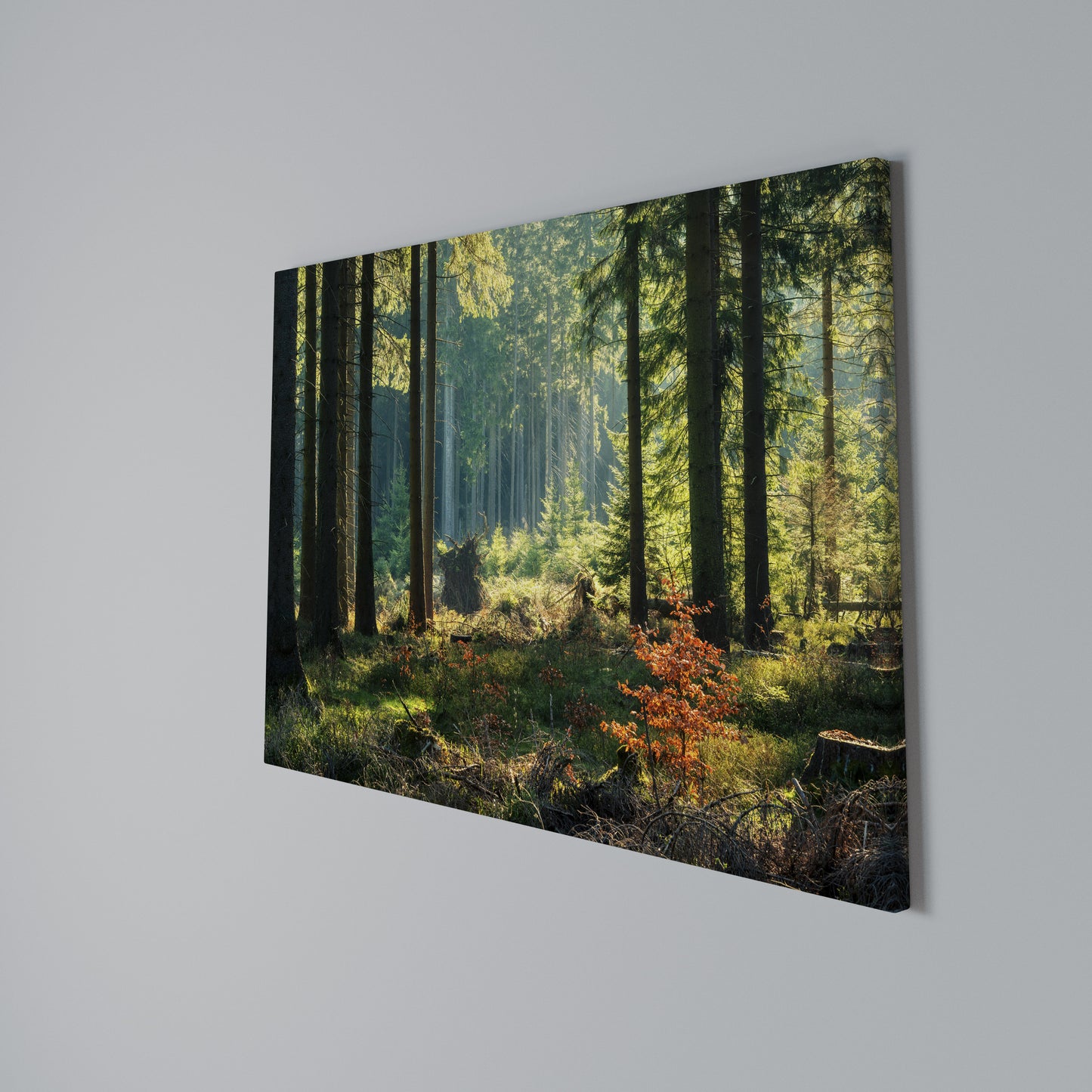 SUNLIT FOREST SERENADE Horizontal Canvas Print