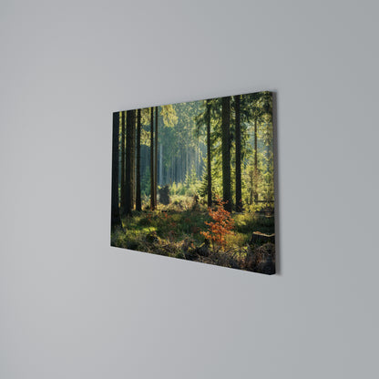 SUNLIT FOREST SERENADE Horizontal Canvas Print