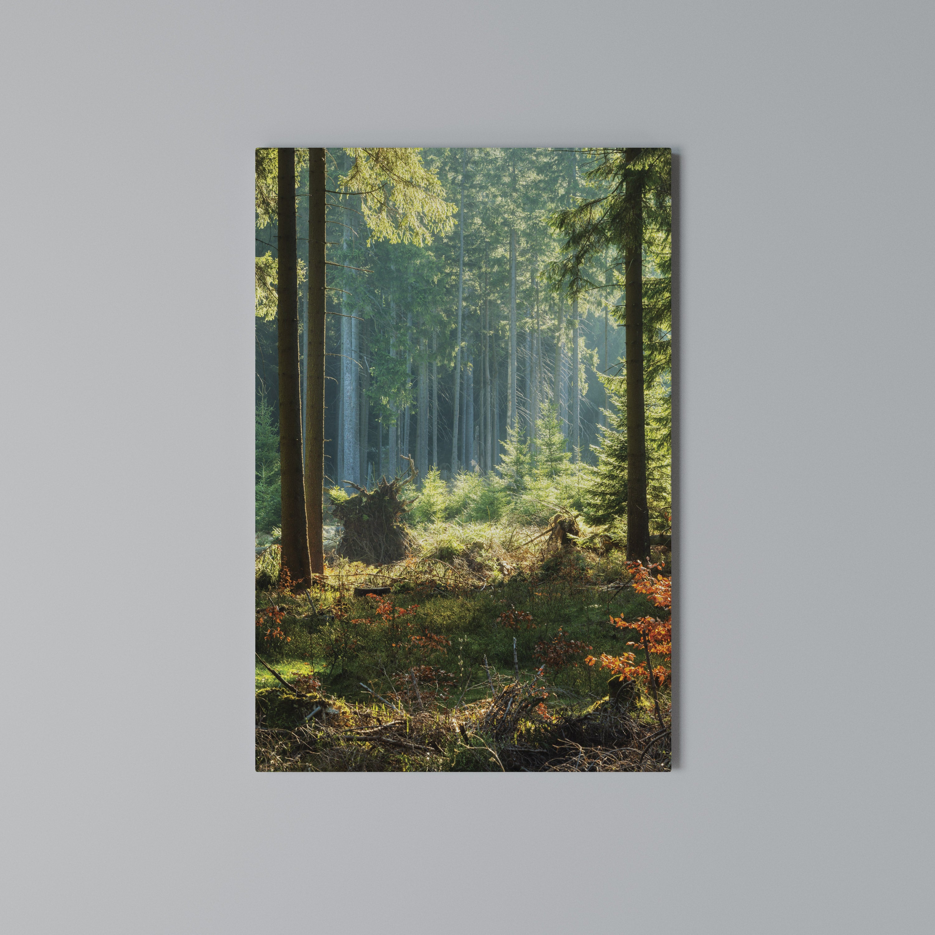 SUNLIT FOREST SERENADE Vertical Canvas Print