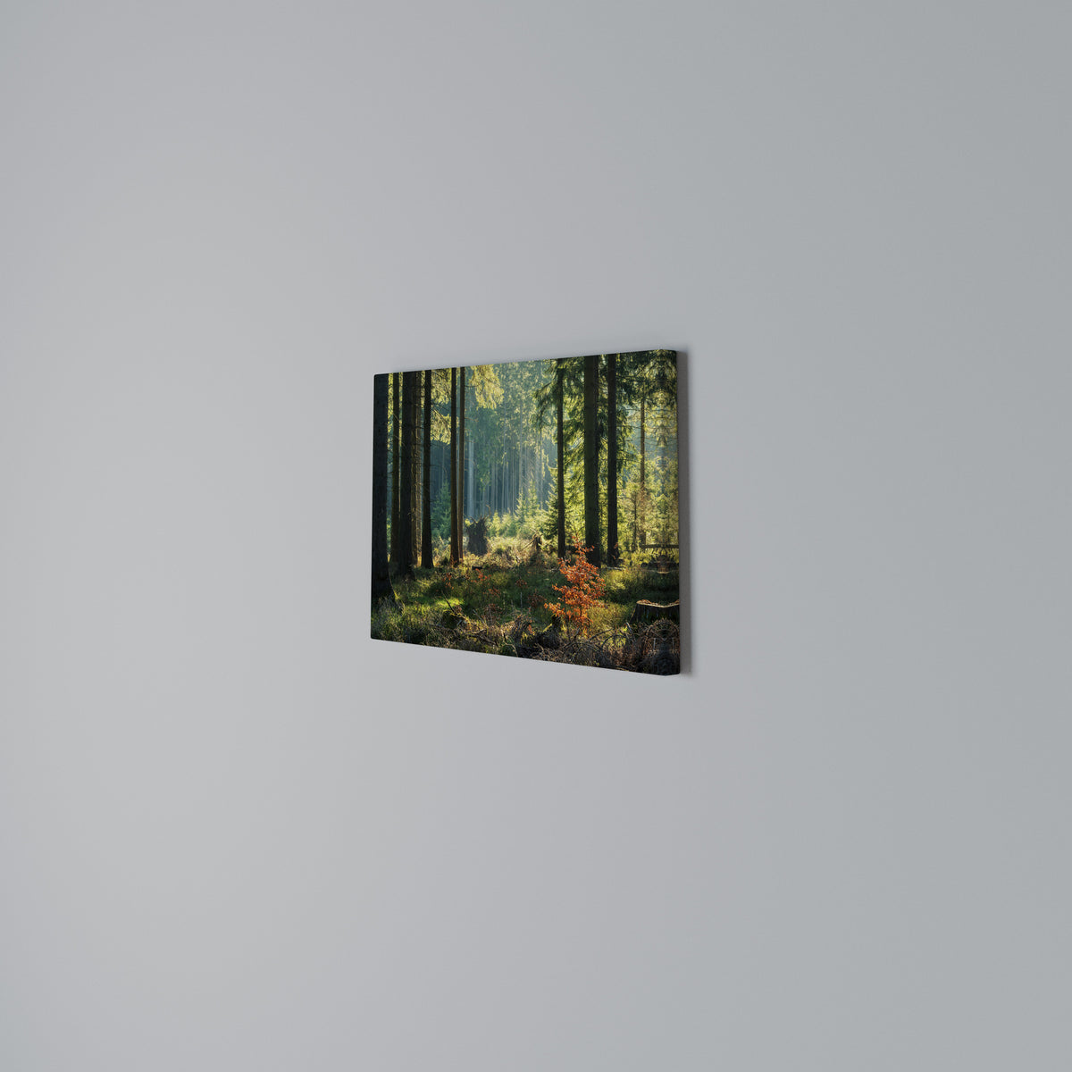 SUNLIT FOREST SERENADE Horizontal Canvas Print