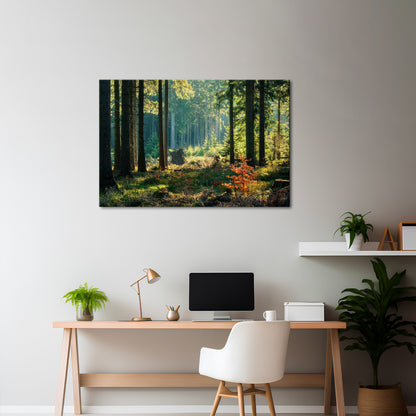 SUNLIT FOREST SERENADE Horizontal Canvas Print